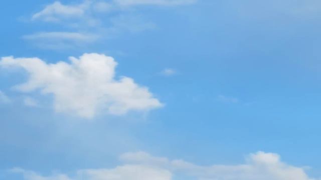 С днём Защитника! смотреть онлайн