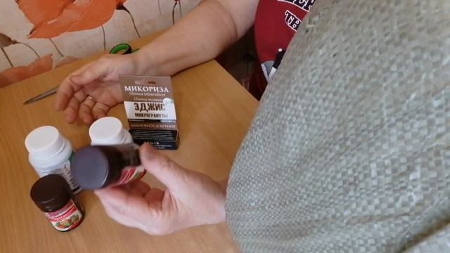 Новые сорта КОЛЕУСОВ в моей коллекции)) Стимуляторы роста с сайта НПО "БиоТехнологии" смотреть онлайн