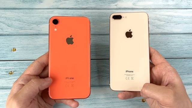 Подробное сравнение IPhone 8+ и XR