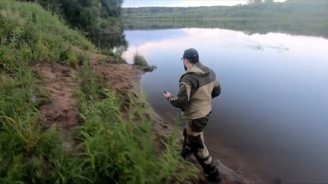 Щука на фидер | Готовим крылья с грибами | Река Чепца | 08/2020