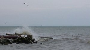 Каспийское море Махачкала май 2019