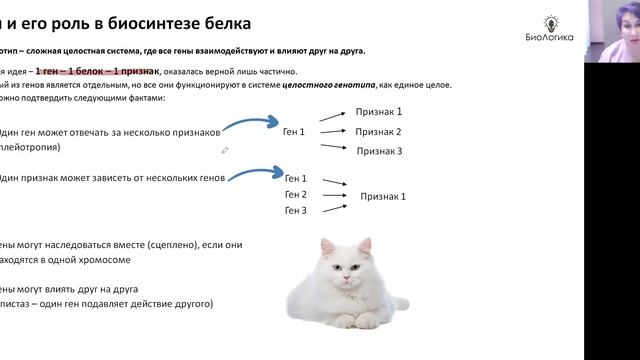 Лекция 12-1. Биосинтез Белка смотреть онлайн