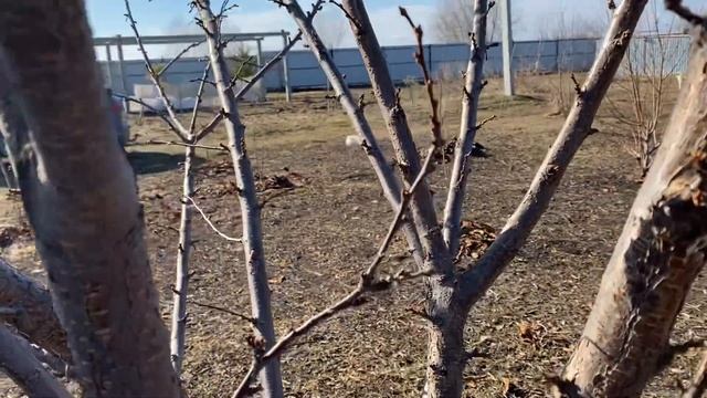 Шарафуга. 25 марта 2023 года. Самарская область смотреть онлайн