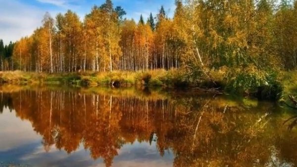 Н.М. Рубцов "Сентябрь"