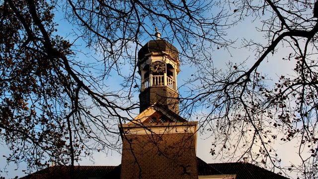 Canon 600D (T3i) 18-55mm // unedited sample shots смотреть онлайн