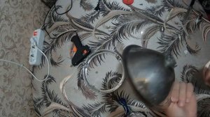 #80 Установка LED лампы в фару мопеда альфа