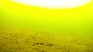 Рыбалка на "Белом" озере, посёлка Белоозёрский, окунь, начало марта.