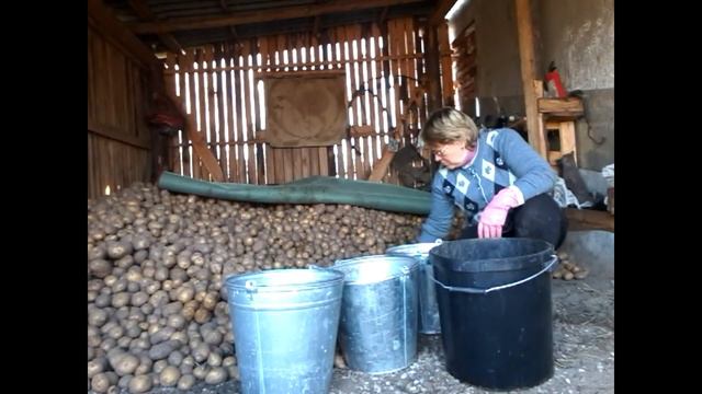 Деревенские будни!Много дел! смотреть онлайн