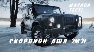 Такого "УАЗа" вы точно не видели! Потому что это СКОРПИОН!