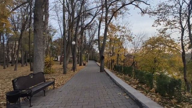 31.10.2023 Золотая осень ? В паркеГомель?#гомель ##shortsvideo #беларусь #золотаяосень #золотая смотреть онлайн
