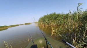 Супер клев карася с лодки на поплавок и зимнюю удочку с кивком - Рыбалка на карася летом