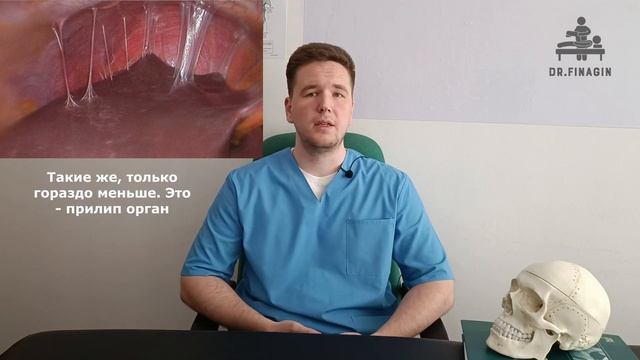 Растяжка, стретчинг, МФР, зачем все ЭТО организму!? | Доктор Финагин смотреть онлайн