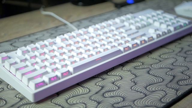 ⌨️ ОНА ВЕЛИКОЛЕПНА! ЛУЧШАЯ МЕХАНИЧЕСКАЯ КЛАВИАТУРА! LIMITED Dark Project KD1b rev.2 White - обзор смотреть онлайн