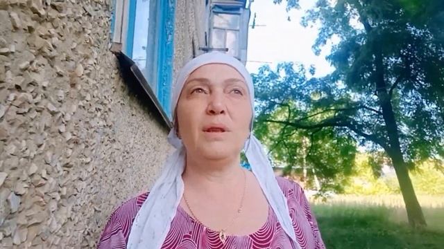 Сшила подушки. Водяной Перс. Огород. Нужно двери купить. смотреть онлайн