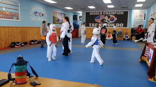 Day 129 Tesla Ruby Earns a Black Belt смотреть онлайн
