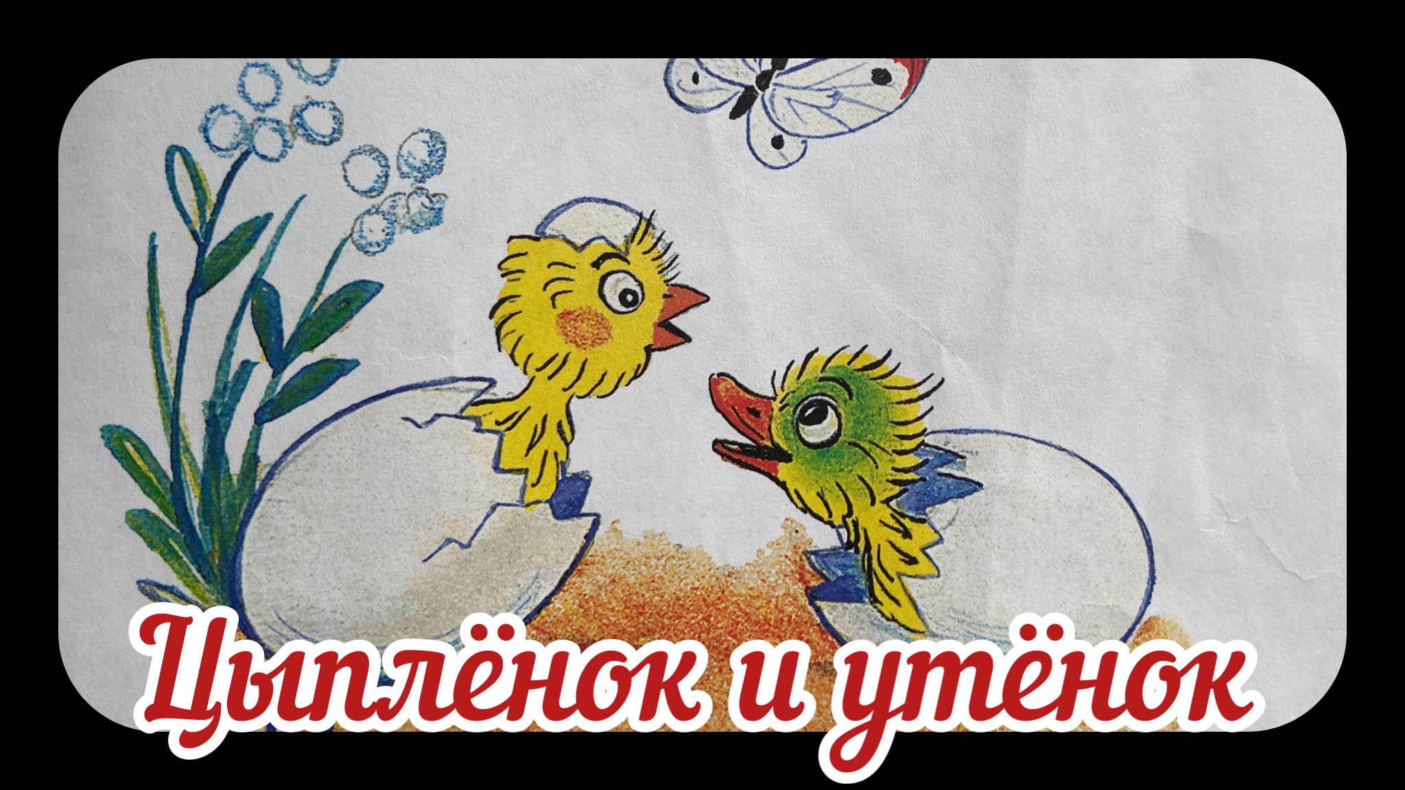 Цыплёнок и утёнок. Сказка для малышей с анимацией. Сказки Сутеева