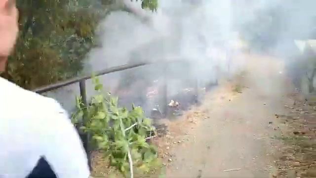Горящую обочину дороги в Ставрополе потушили сотрудники СвоегоТВ смотреть онлайн