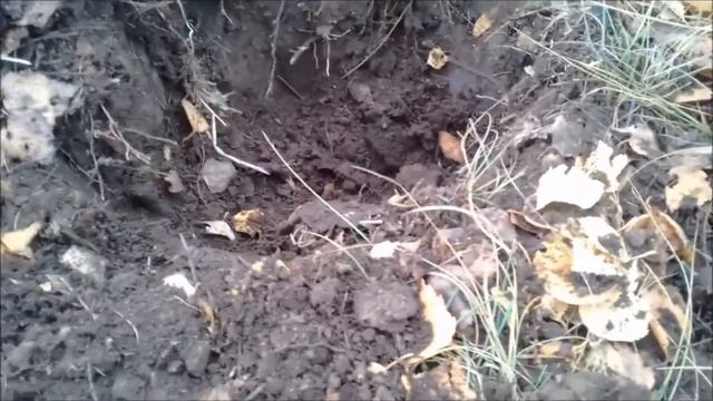 Двухдневный коп на супер выбитом месте профессиональным терминатором модернизированным. смотреть онлайн