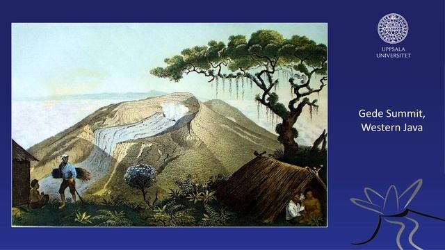 The JAVA Works by F.W. Junghuhn (1809 - 1864) - The Humboldt of Java (1809 - 1864) смотреть онлайн
