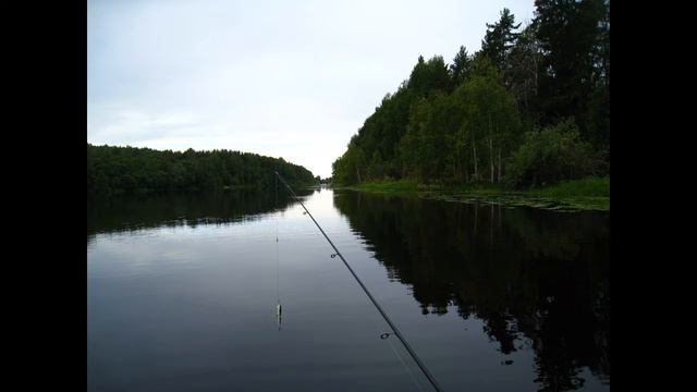 Шотозеро 2012