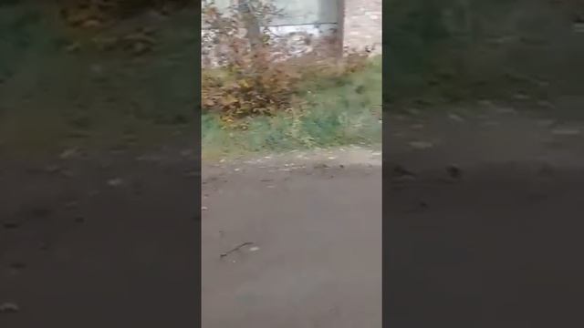 Дорога по улице Байтурсынова в Семее смотреть онлайн