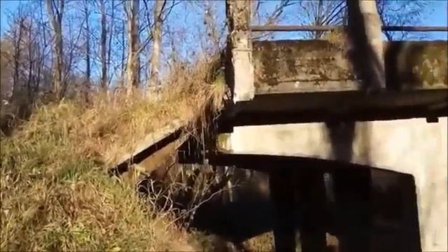Эндуро покатушка в Синявино смотреть онлайн