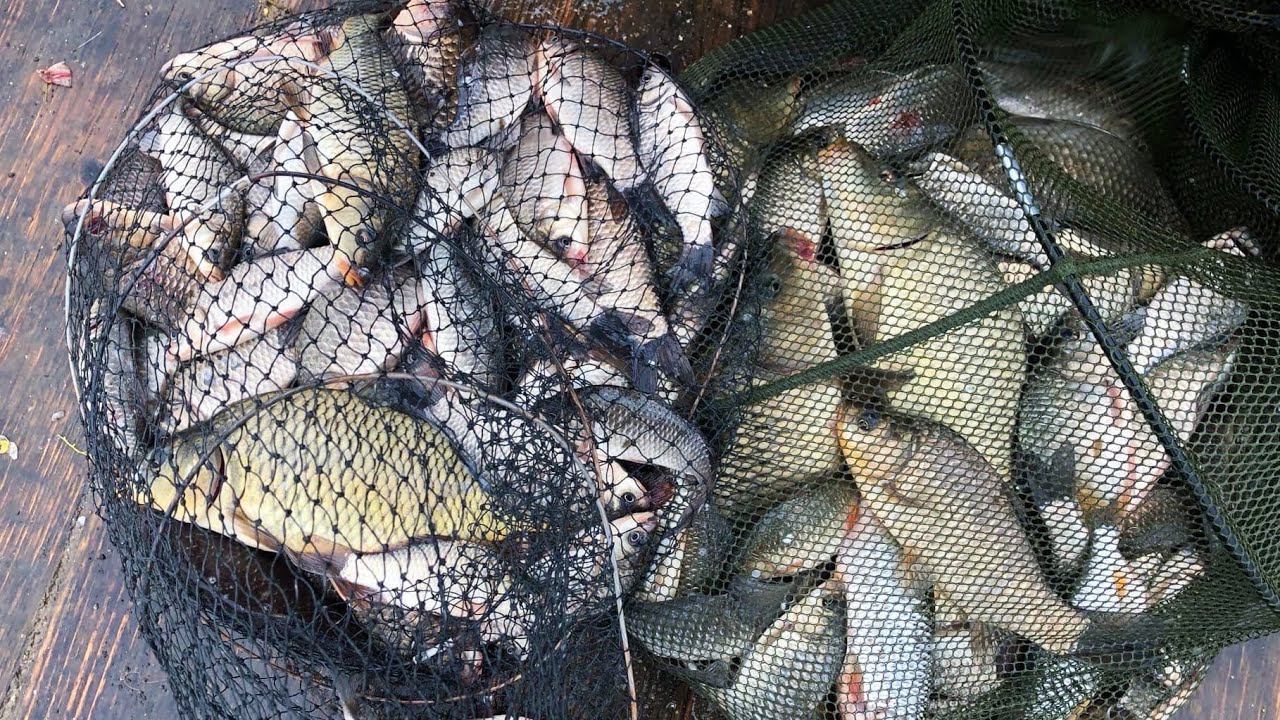 Рыбалка на КАРПА, КАРАСЯ - Сутки под дождем смотреть онлайн