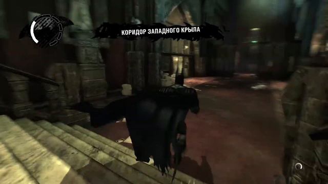 Batman: Arkham Asylum. В ПОИСКАХ ТРОФЕЕВ ЗАГАДОЧНИКА! смотреть онлайн
