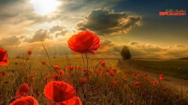 The Song about Mother - ЗАДУШЕВНА ПIСНЯ ПРО МАМУ!