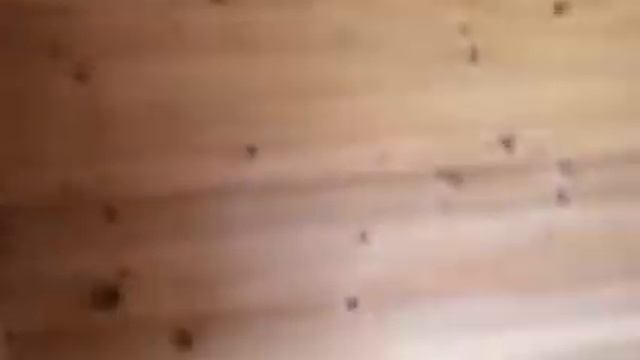 эллипс 4х2,5 1 смотреть онлайн