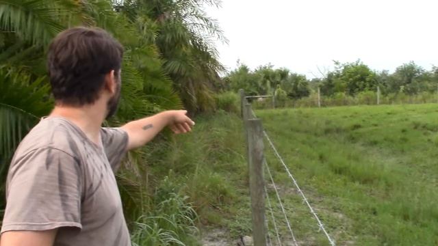 Hunting Small Game. Primitive Archery & Flintlock hunting for squirrels and rabbits смотреть онлайн