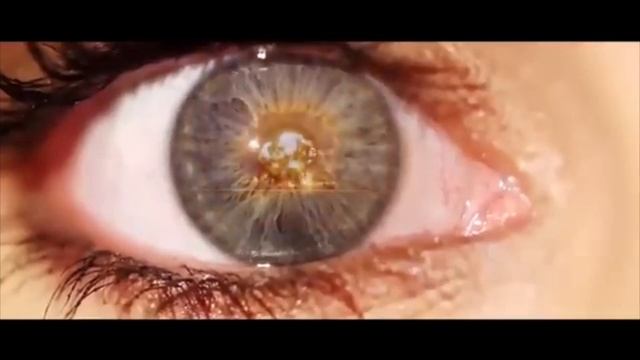 Dion - The Wanderer (Real Fallout) смотреть онлайн