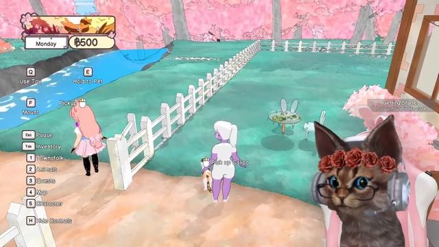 Cats Shaken Not Stirred - Calico - First Look (PC) смотреть онлайн