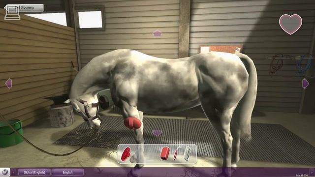 Riding Club Championships (part 3) (Horse Game) смотреть онлайн