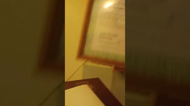 мои дипломы и сертификаты смотреть онлайн