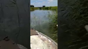 болотоход казанка