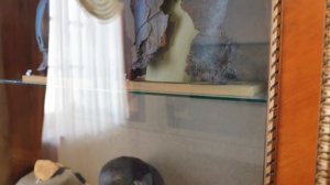 Что нужно знать для поездки в Беларусь?