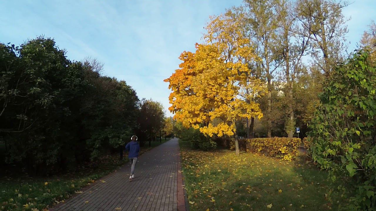 Дмитрий Рябов, Осень.