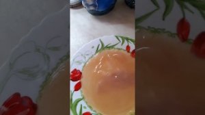 Гриб яблочного уксуса