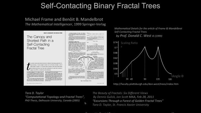 Generalized Self-Contacting Symmetric Fractal Trees смотреть онлайн