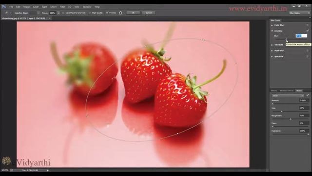 Photoshop Iris & Field Blur Filter | Hindi Tutorial || Chapter 14 | Video 5 смотреть онлайн