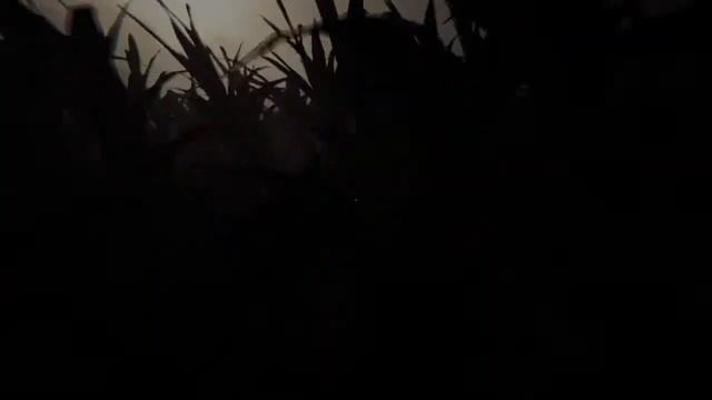 Outlast 2 part 3 getting killed by marta смотреть онлайн