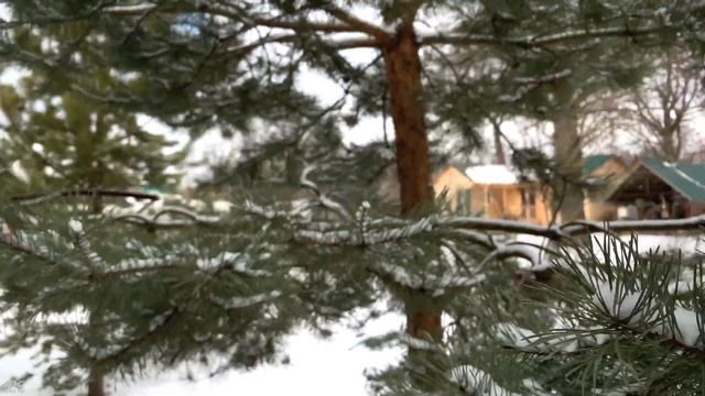 4К Дача смотреть онлайн
