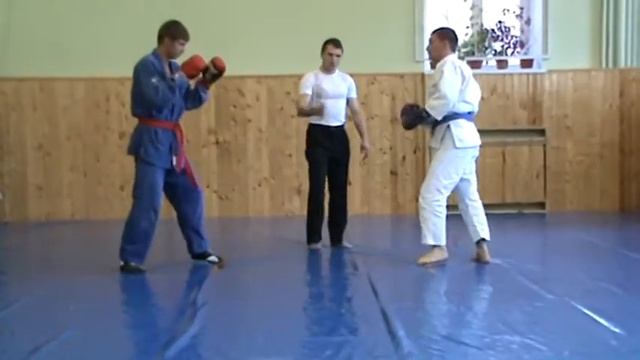 боевое джиу-джитсу, соревнования смотреть онлайн