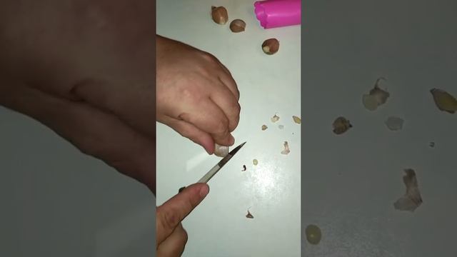 Приспособление для чистки чеснока.