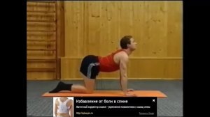 Упражнение от защемление спины, упражнения от боли в лопатках