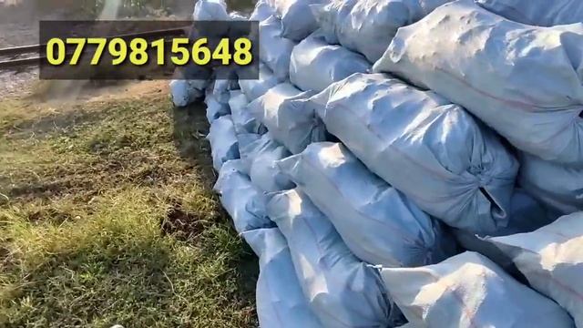 КӨМҮР сезон БАШТАЛДЫ арзан ГО смотреть онлайн