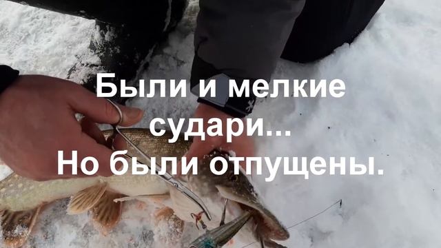 Осваиваем Ратлины. Днепр. Беларусь. смотреть онлайн