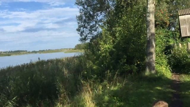 Палкино (Псковская область). Озеро Смолинское. Детский городок. 03.07.2016, 08:36 смотреть онлайн