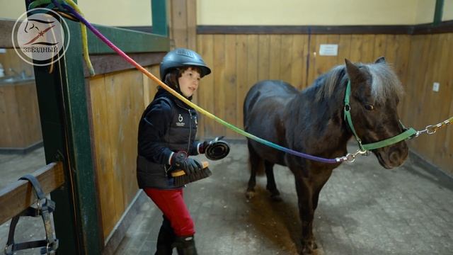 Елисей и его пони «Герб» смотреть онлайн